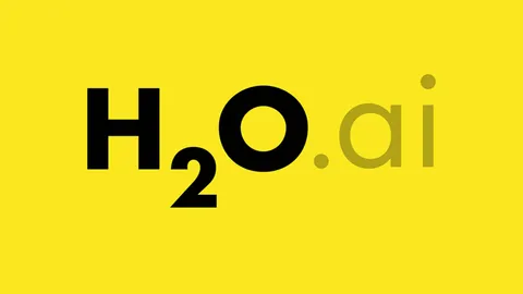 H2O AutoML