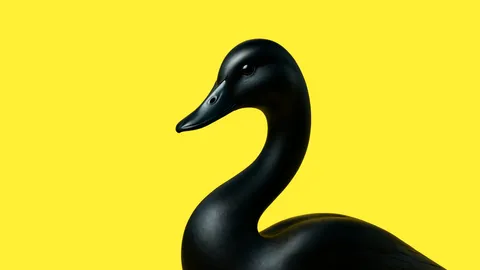 DuckDB and Beyond